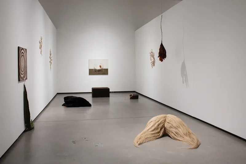 Paula Zvane solo show INVISIBLE : installation view from Purvitis Prize show at Latvian National Museum of art, 2025 Photo by Kristine Madjare